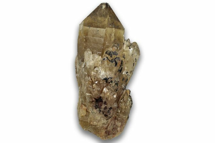 Smoky Citrine Crystal Cluster - Luena, DR Congo #324400